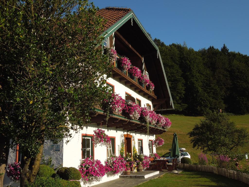 Villa Wohlfuhlbauernhof Bambichlhof à Fuschl am See Extérieur photo